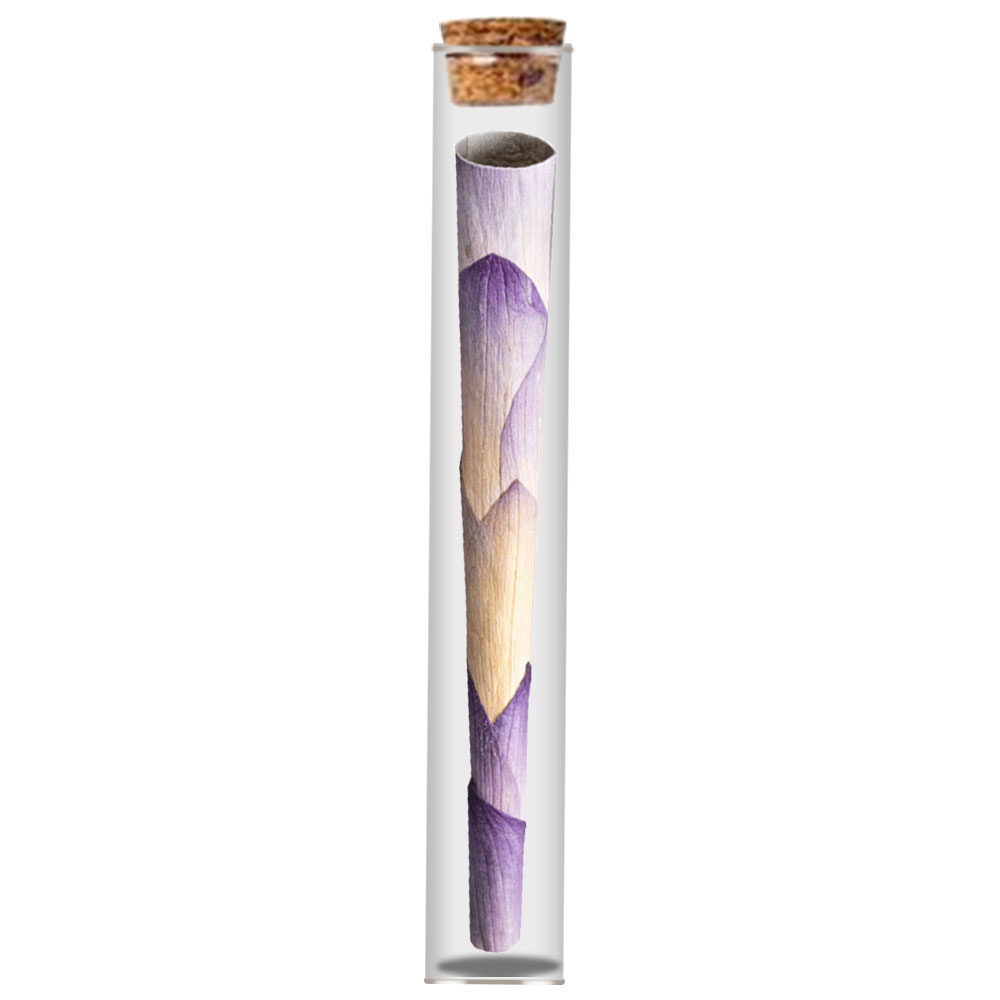 Blue Lotus Petal Single CT cone With  Glass tube  King Size 109mm